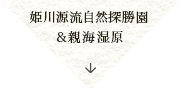 姫川源流自然探勝園＆親海湿原