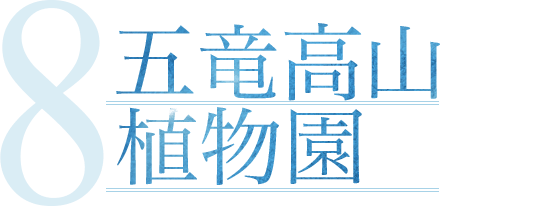 五竜高山植物園