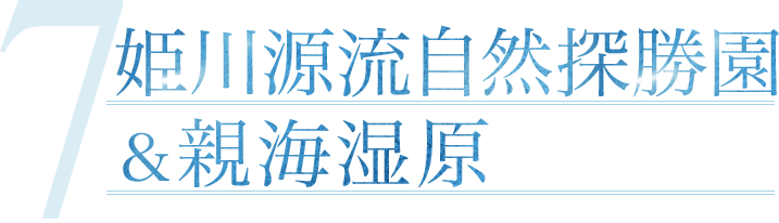 姫川源流自然探勝園＆親海湿原