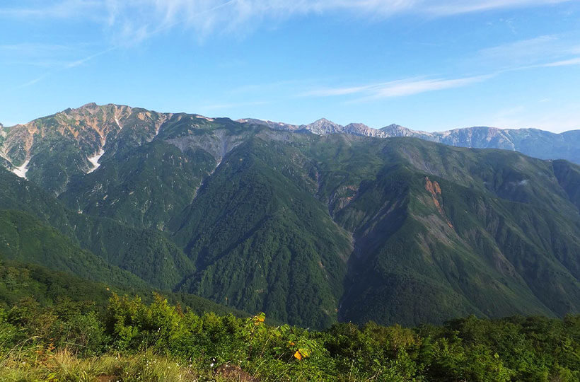 白馬五竜高山植物園